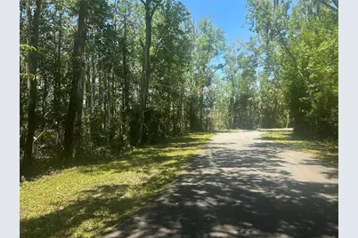 650 Miller Creek Road, Crystal River, FL 34428 - Photo 3