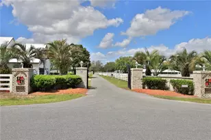 4450 SE 216 Ave, Morriston, FL 32668 - Photo 1