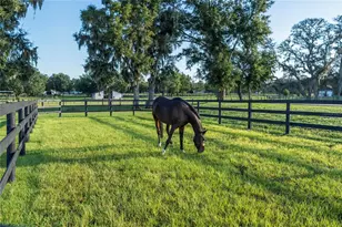 663 NW 80th Ave, Ocala, FL 34482 - Photo 59