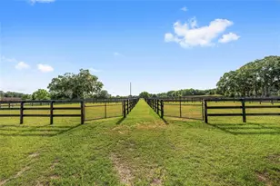 663 NW 80th Ave, Ocala, FL 34482 - Photo 21