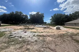 16832 SE 23rd Ave, Summerfield, FL 34491 - Photo 3