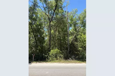 Ne 7th Place, Williston, FL 32696 - Photo 1