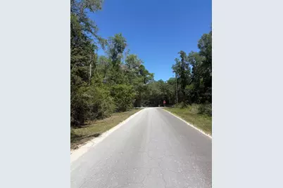Ne 7th Place, Williston, FL 32696 - Photo 5