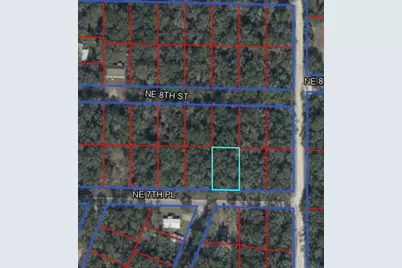 Ne 7th Place, Williston, FL 32696 - Photo 7