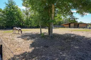 18350 SE 42nd Pl, Morriston, FL 32668 - Photo 73