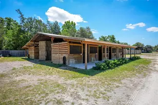 18350 SE 42nd Pl, Morriston, FL 32668 - Photo 47