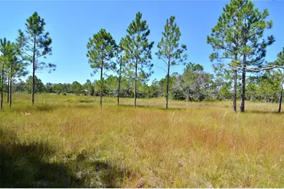 Key Deer Ct, Perry, FL 32348 - Photo 11
