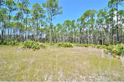 Key Deer Ct, Perry, FL 32348 - Photo 9