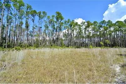 Key Deer Ct, Perry, FL 32348 - Photo 21