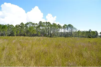Key Deer Ct, Perry, FL 32348 - Photo 27