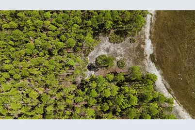 Key Deer Ct, Perry, FL 32348 - Photo 19