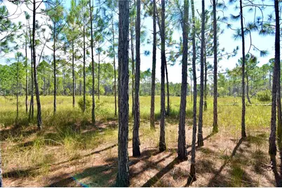 Key Deer Ct, Perry, FL 32348 - Photo 13