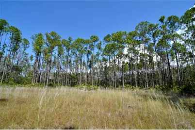 Key Deer Ct, Perry, FL 32348 - Photo 5