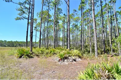Key Deer Ct, Perry, FL 32348 - Photo 7