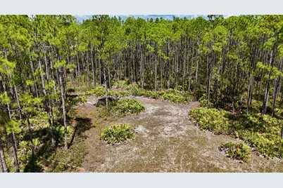 Key Deer Ct, Perry, FL 32348 - Photo 3