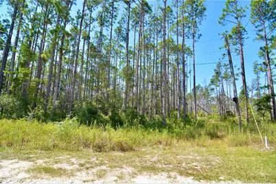 Key Deer Ct, Perry, FL 32348 - Photo 23