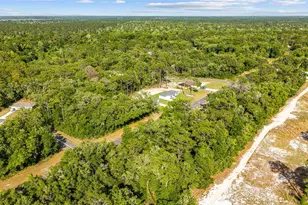 358 Locust Rd, Ocala, FL 34480 - Photo 37