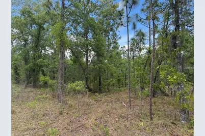 00 SE 126th Terrace, Dunnellon, FL 34431 - Photo 3