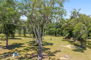 21561 SE 30th St, Williston, FL 32696 - Photo 33