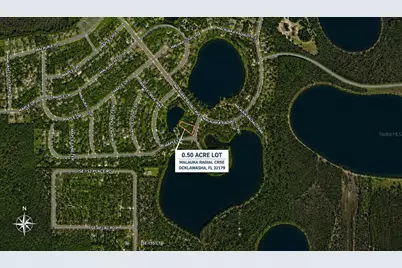 0 Malauka Radial Crse, Ocklawaha, FL 32179 - Photo 3