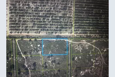 733 N Tarry Lane, Lorida, FL 33857 - Photo 3