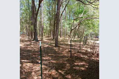 7899 W Fostoria Drive, Dunnellon, FL 34433 - Photo 89
