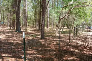 7899 W Fostoria Dr, Dunnellon, FL 34433 - Photo 89