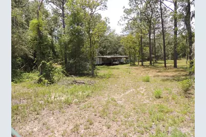 250 NE 131st Avenue, Williston, FL 32696 - Photo 1