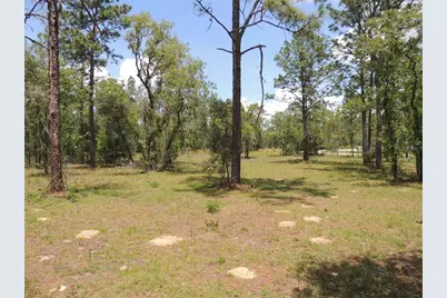 250 NE 131st Avenue, Williston, FL 32696 - Photo 11