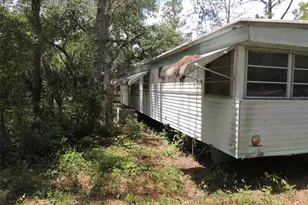 250 NE 131st Ave, Williston, FL 32696 - Photo 7