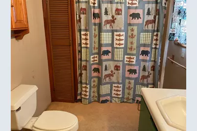24642 NE 177th Terrace, Fort Mc Coy, FL 32134 - Photo 15