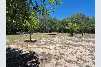 11651 NE 73rd Lane, Bronson, FL 32621 - Photo 9