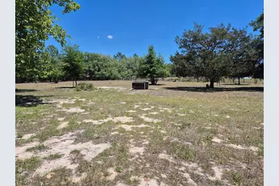 11651 NE 73rd Lane, Bronson, FL 32621 - Photo 7