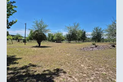 11651 NE 73rd Lane, Bronson, FL 32621 - Photo 11