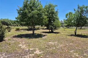 11651 NE 73rd Ln, Bronson, FL 32621 - Photo 17