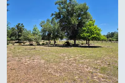 11651 NE 73rd Lane, Bronson, FL 32621 - Photo 19