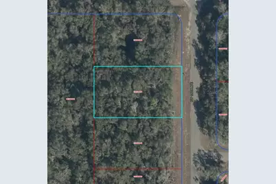 Nw 100 Avenue, Chiefland, FL 32626 - Photo 1