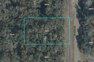 NW 100 Ave, Chiefland, FL 32626 - Photo 1