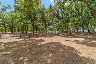 19551 SE 42nd Pl, Morriston, FL 32668 - Photo 53