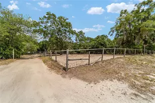 19551 SE 42nd Pl, Morriston, FL 32668 - Photo 45