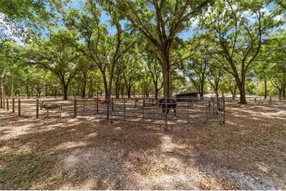 19551 SE 42nd Place, Morriston, FL 32668 - Photo 51