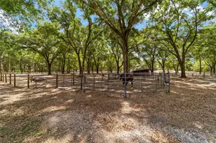19551 SE 42nd Pl, Morriston, FL 32668 - Photo 51