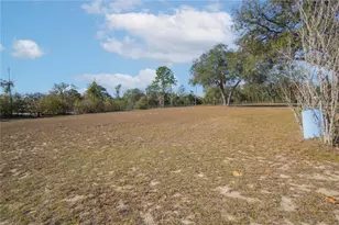 10494 N Spence Ave, Dunnellon, FL 34433 - Photo 25
