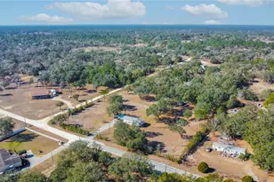 10494 N Spence Ave, Dunnellon, FL 34433 - Photo 41