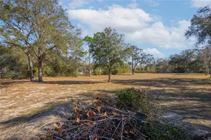 10494 N Spence Ave, Dunnellon, FL 34433 - Photo 31