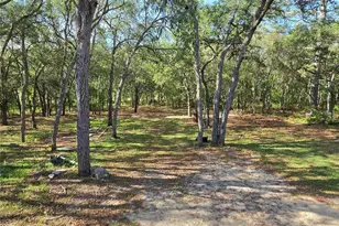 624 E Winnetka St, Hernando, FL 34442 - Photo 23