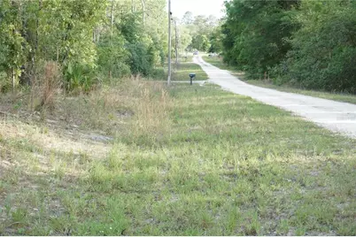 00 (Tbd) SW 135 Terrace Road, Dunnellon, FL 34432 - Photo 9