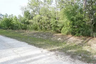 00 (Tbd) SW 135 Terrace Road, Dunnellon, FL 34432 - Photo 3