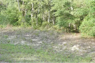00 (Tbd) SW 135 Terrace Road, Dunnellon, FL 34432 - Photo 7