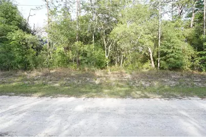 00 (Tbd) SW 135 Terrace Road, Dunnellon, FL 34432 - Photo 1